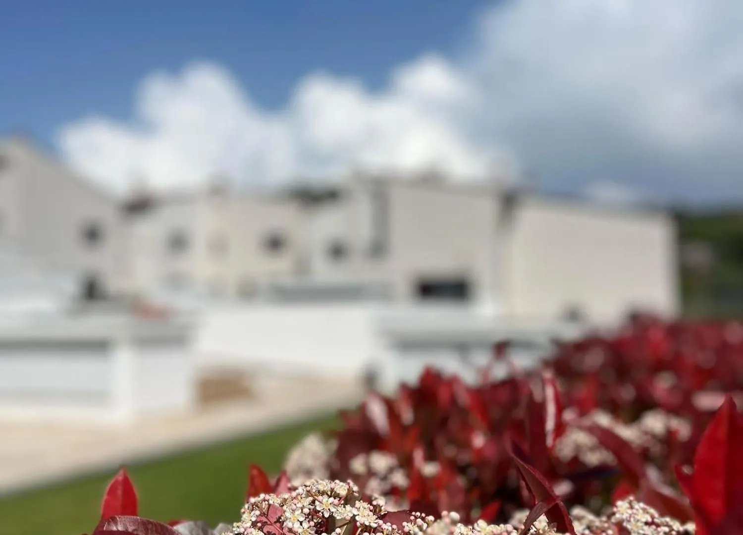 The Florence Hills Resort & Wellness Pelago